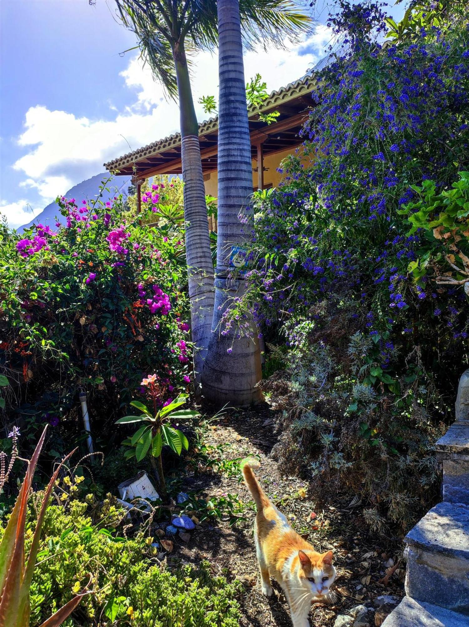 The Cradle Of The Moon, Rivendell Hotell El Paso Eksteriør bilde